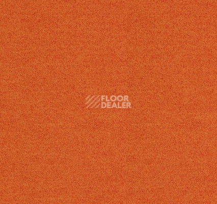 Ковровая плитка Interface Polichrome Solid 4266022 Carrot фото 1 | FLOORDEALER